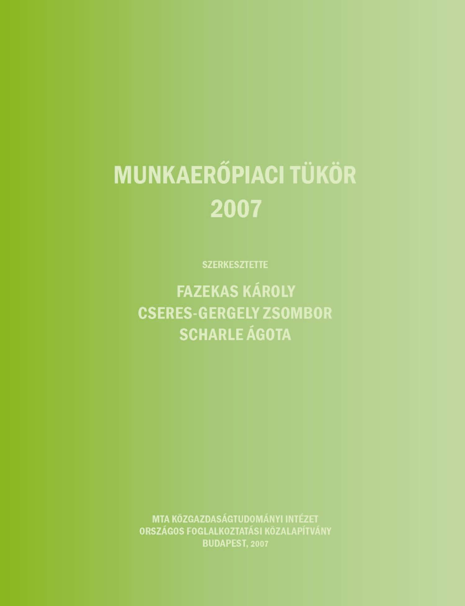 MUNKAERŐPIACI TÜKÖR 2007