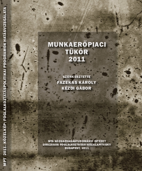 MUNKAERŐPIACI TÜKÖR 2011
