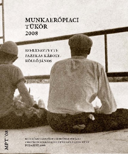 MUNKAERŐPIACI TÜKÖR 2008