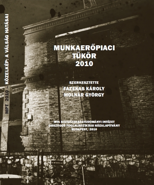 MUNKAERŐPIACI TÜKÖR 2010
