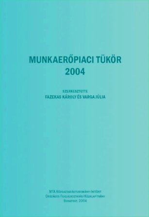 MUNKAERŐPIACI TÜKÖR 2004