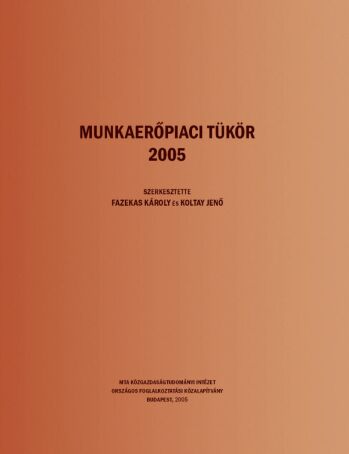 MUNKAERŐPIACI TÜKÖR 2005