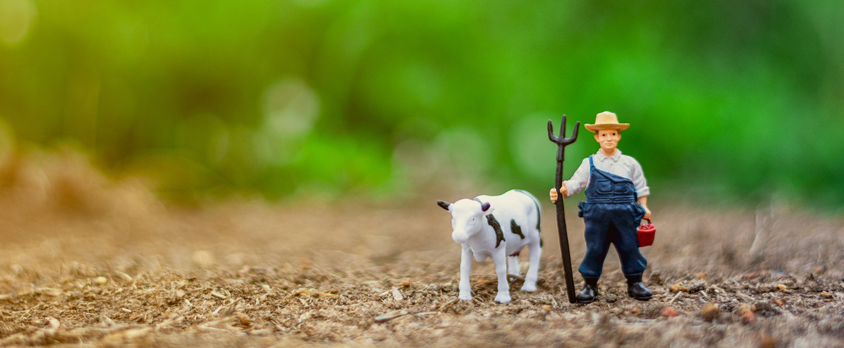 Agricultural Economics and Rural Development