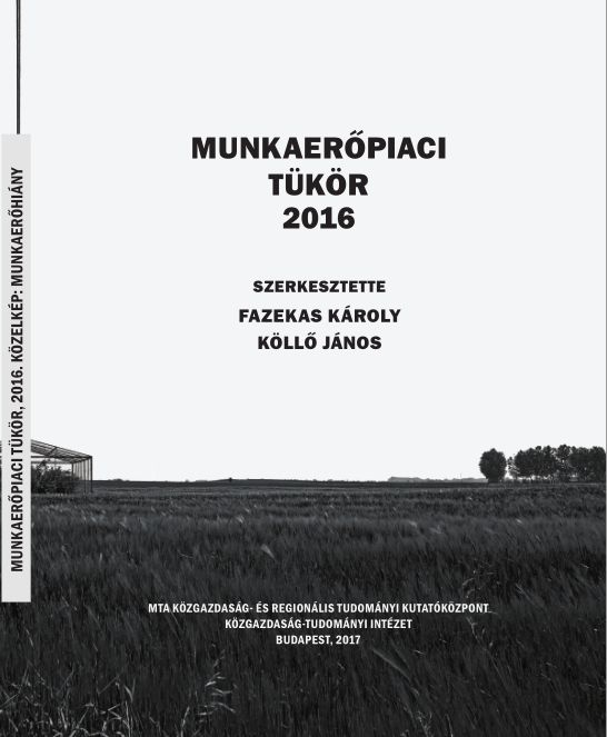 MUNKAERŐPIACI TÜKÖR 2016