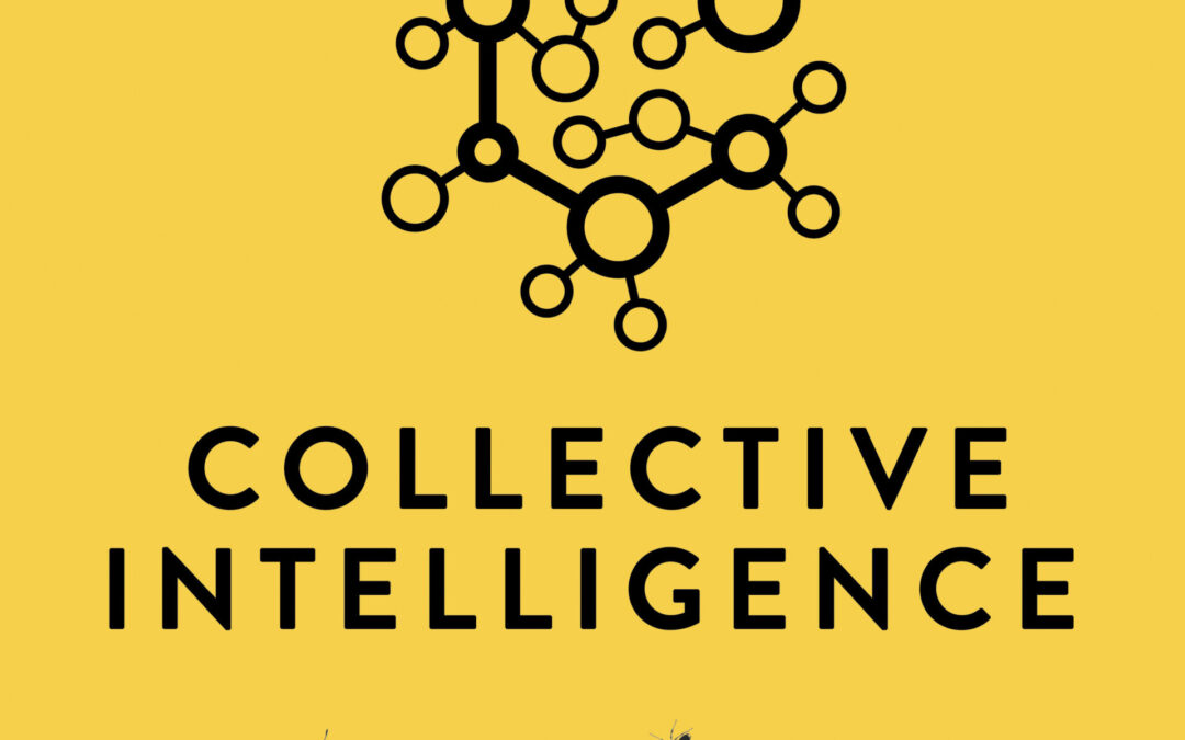 Johannes Wachs és szerzőtársa tanulmánya megjelent a Collective Intelligence szakfolyóiratban