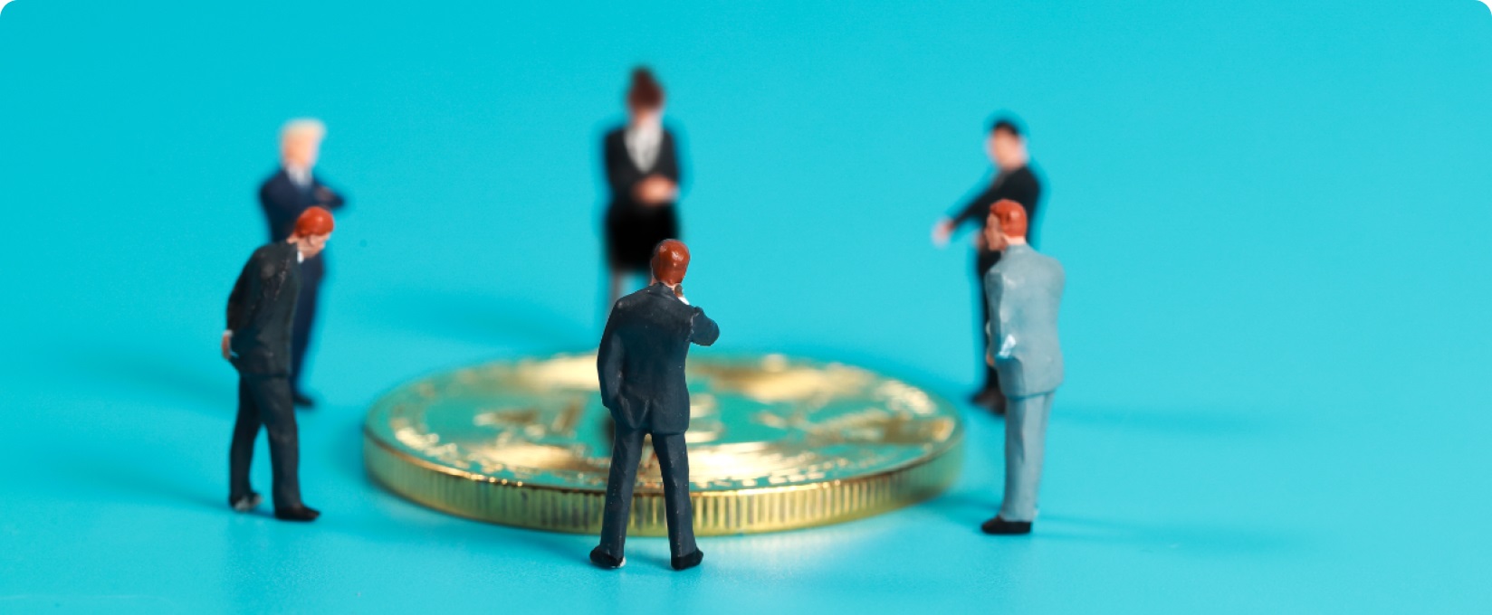 Public Economics and Public Policies