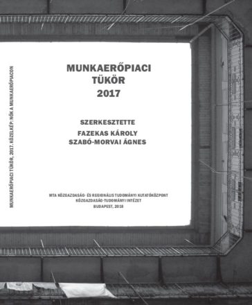 Munkaerőpiaci Tükör 2017