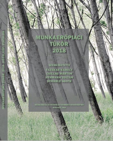 MUNKAERŐPIACI TÜKÖR 2018