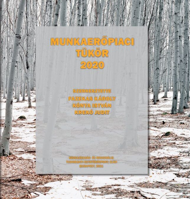 Megjelent a MUNKAERŐPIACI TÜKÖR 2020