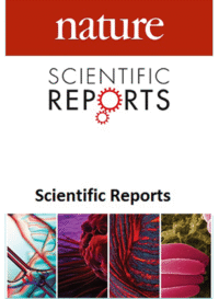 The positive effect of moral self-concept on fraudulent behavior and the need for moral cleansing